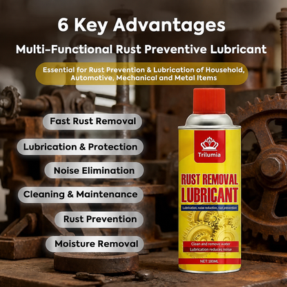 Anti-Rust Lubricating Spray & Rust Remover🔥🔥