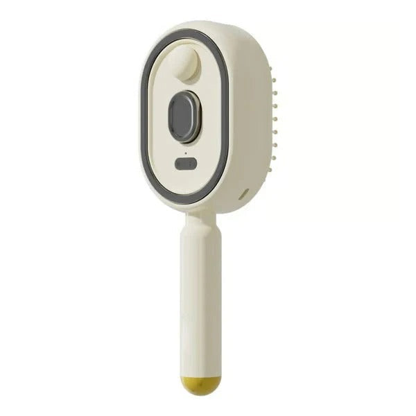 🪮Last Day 50% OFF🔥Electric Spray Air Cushion Massage Comb - Finds